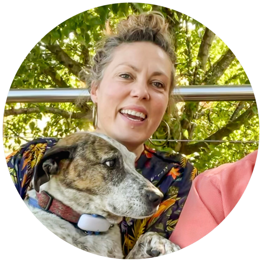 Stacey Andrew equine therapist trainer