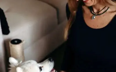 How to Become an Animal Assisted Therapist in Australia?