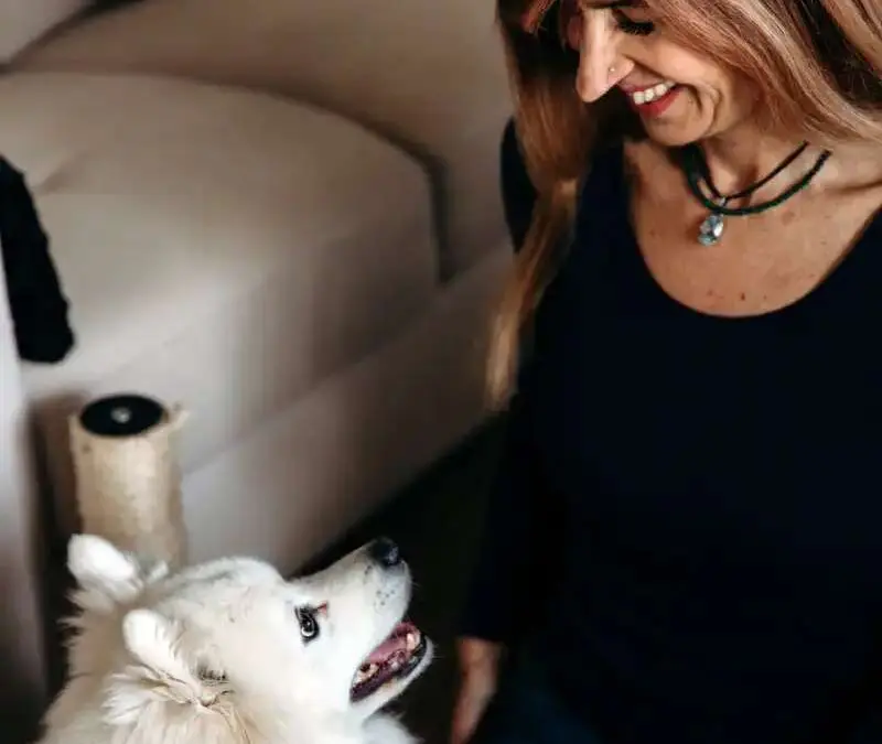 How to Become an Animal Assisted Therapist in Australia?