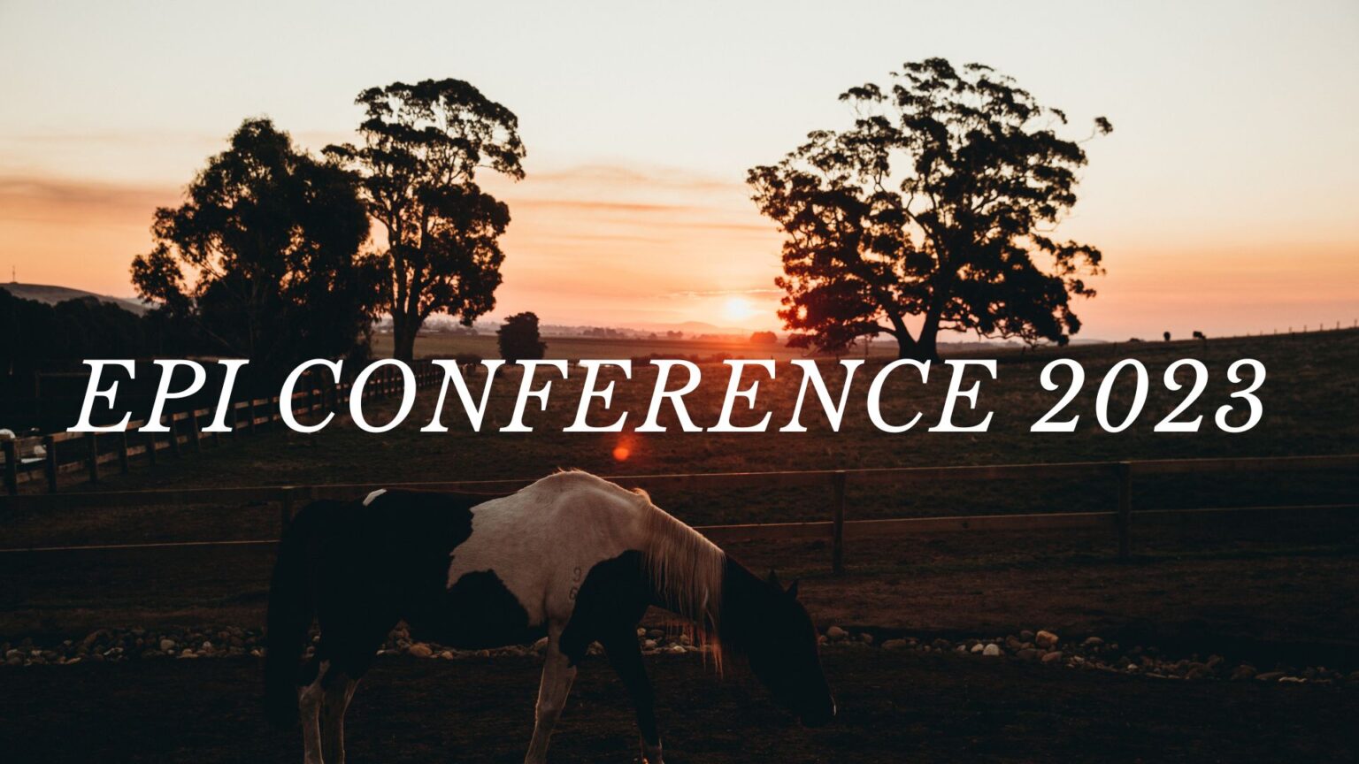 EPI-Conference-horse therapy