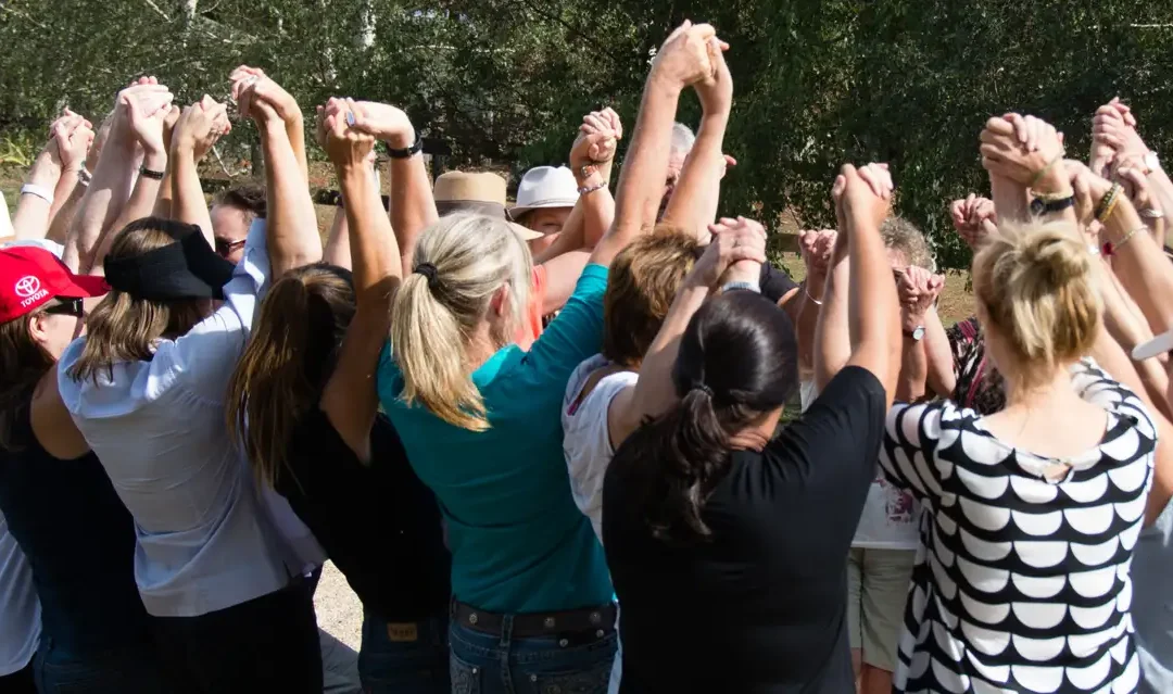 How Do I Get Professional Certification in Equine Assisted Therapy in Australia?