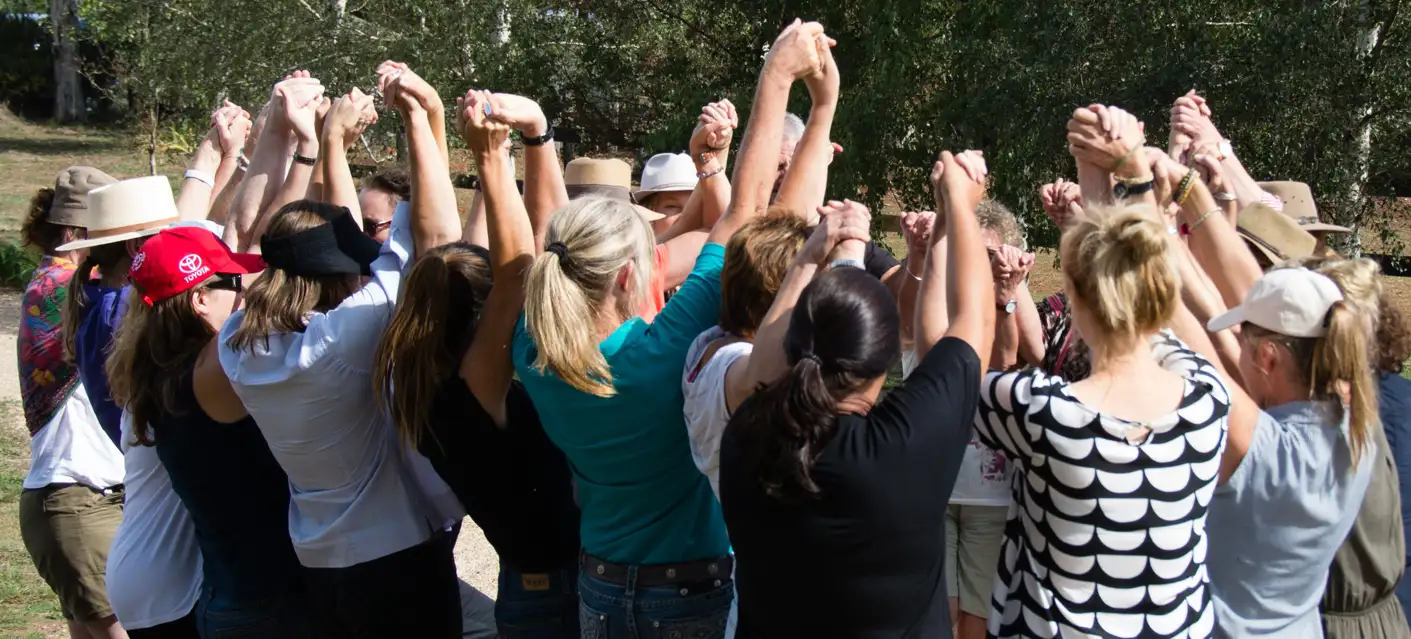 How Do I Get Professional Certification in Equine Assisted Therapy in Australia