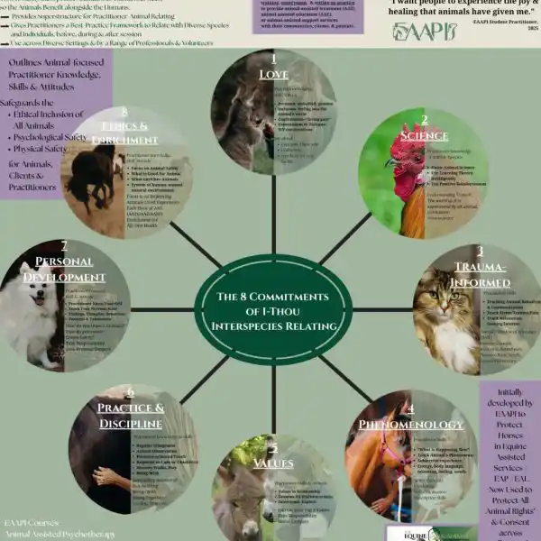 Animals, Love and Science Poster