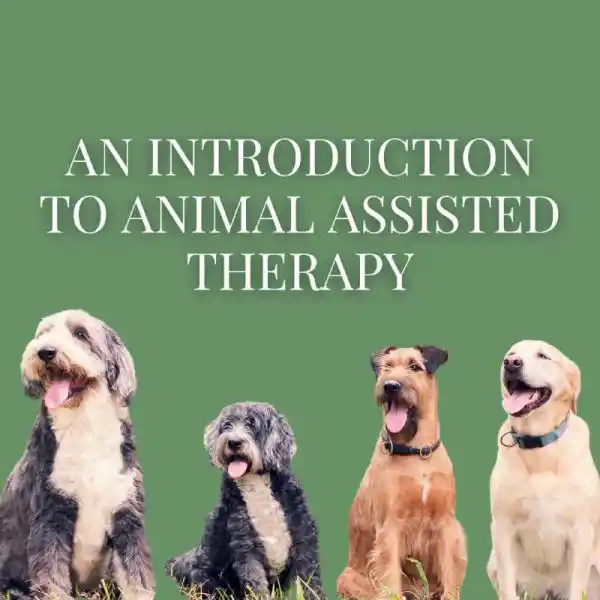 Online Introduction to Animal Assisted Therapy