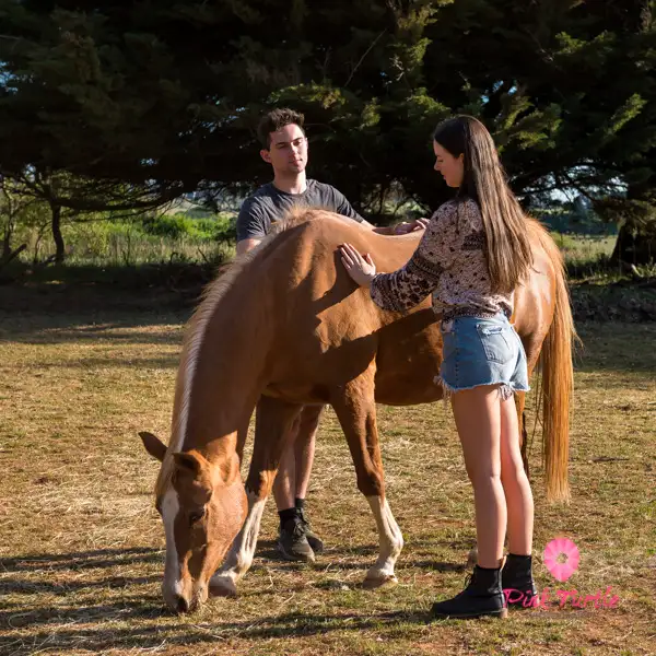 Somatic Experiencing with Animals
