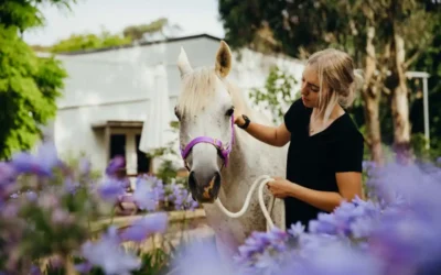 The Power of Horse-Human Connection