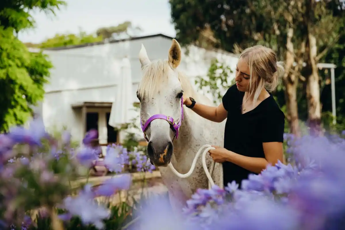 equine therapist student and horse