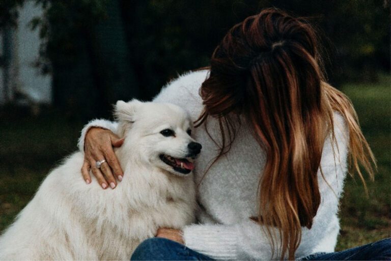 animal assisted therapy dog