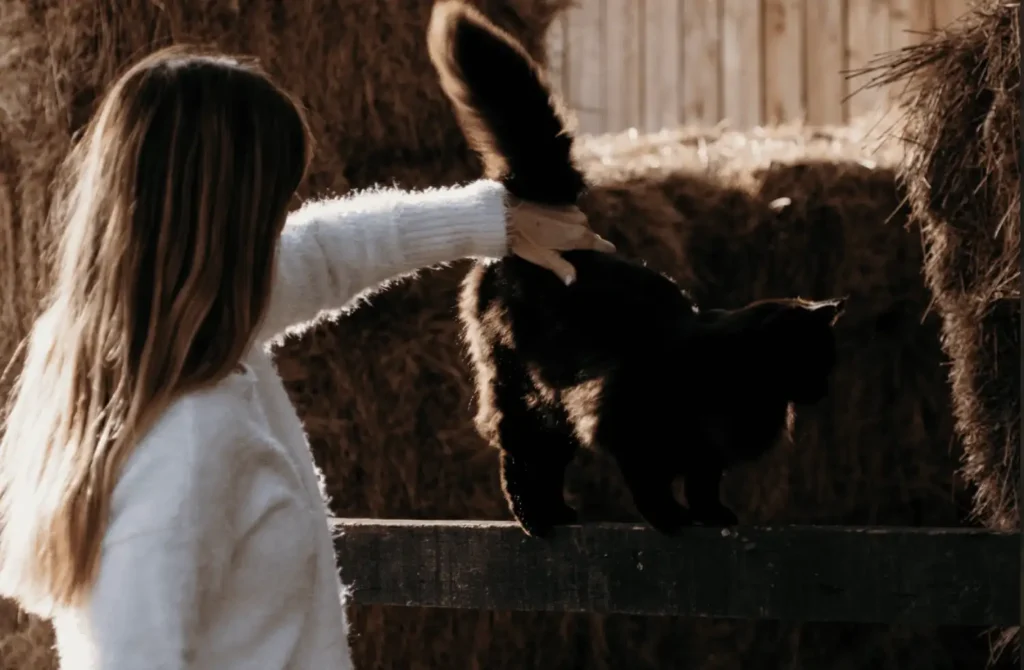 animal assisted therapist with cat outside