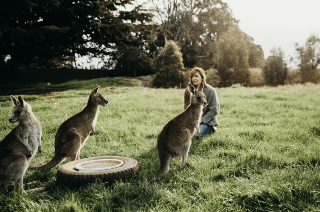 animal assisted therapy trainer with kangaroos