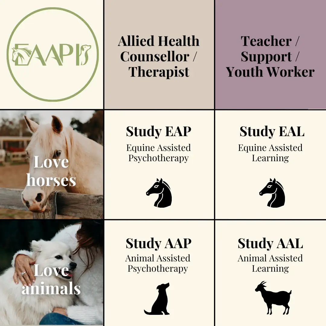 equine and animal assisted education pathways
