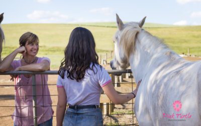 How to Become an Equine Therapist in Australia