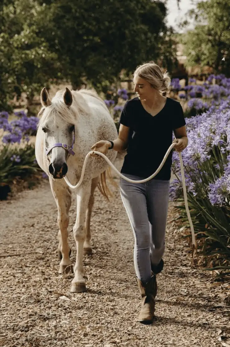 equine therapist leading horse down path