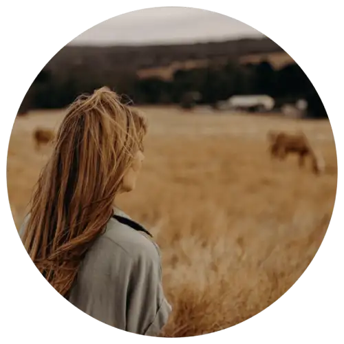 equine therapist looking over paddock of horses