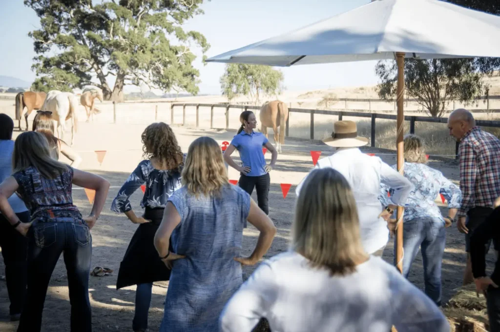 equine therapist training class outdoor exercise