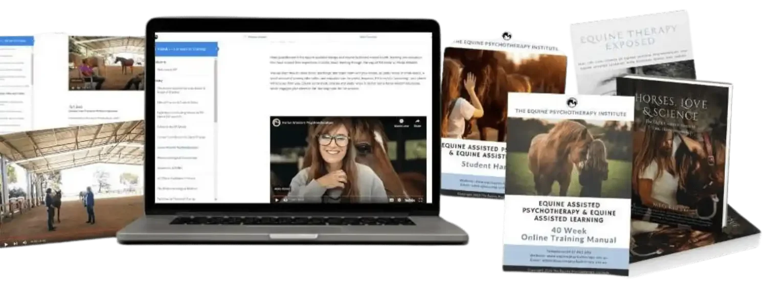 equine therapist training tools