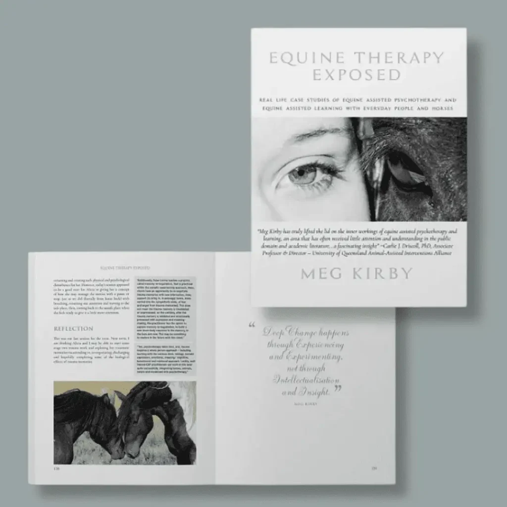 equine therapy - equine therapy explosed book