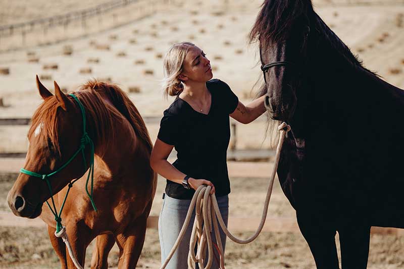 equine therapy training page 1 ecotherapy plant