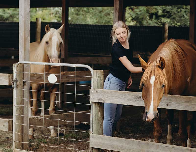 equine therapy training page 6 ecotherapy gumnut