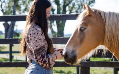 How Horses Included in Therapy Helps Improve Mental Health