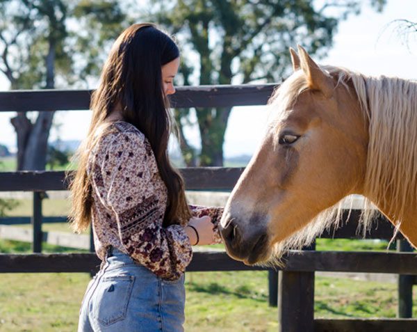 How Horses Included in Therapy Helps Improve Mental Health