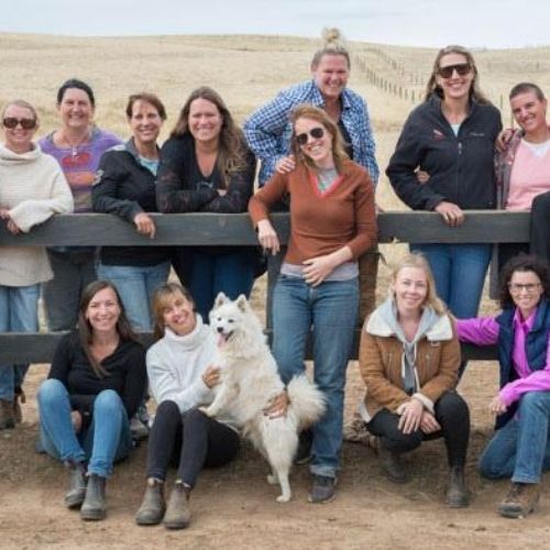 Equine Therapy Students