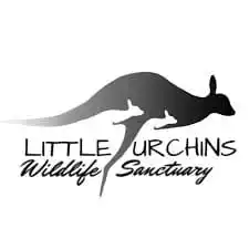 little urchins wildlife sanctuary