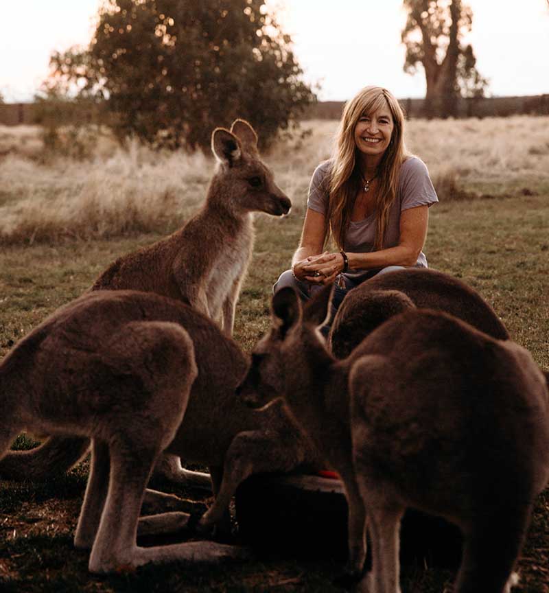 meggin and animal therapy roos