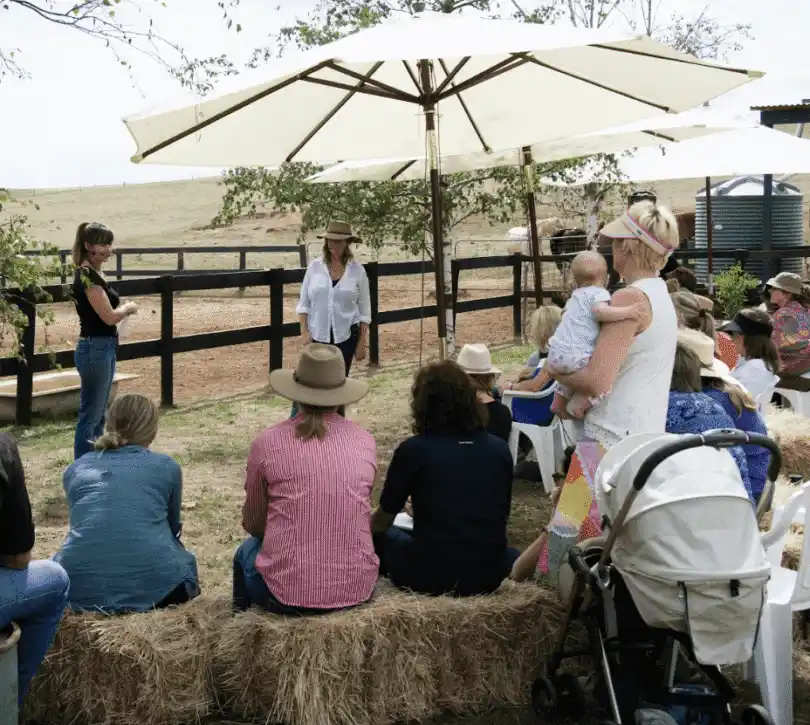 outdoor equine therapist training session