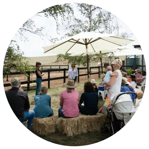 outdoor equine therapy class