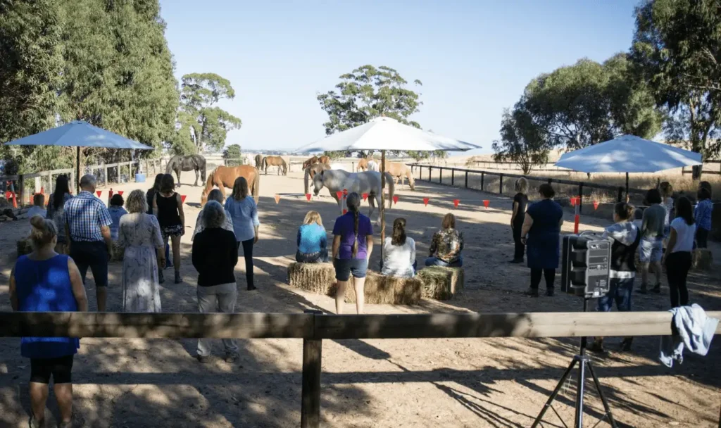 outdoor specialist equine therapist training