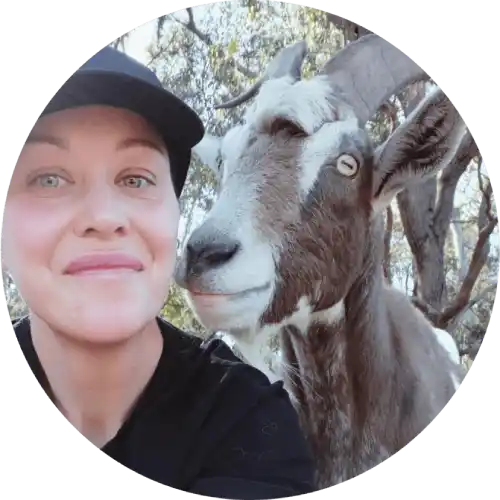 paula jewell equine therapist trainer