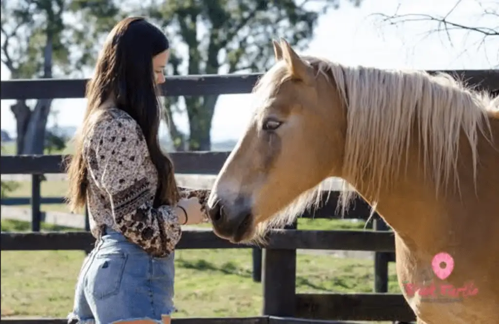 teenager and equine therapy horse