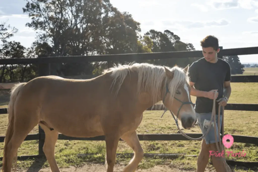 teenager leading equine therapy palomino horse