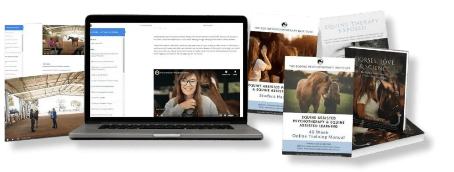 Joy's Website (3) tools for equine therapist training
