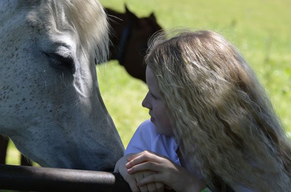 Horse Assisted Therapy  session - working with  adolescents