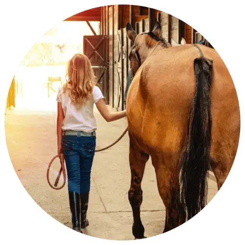 young girl leading horse through stable